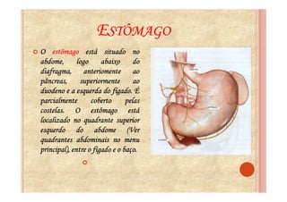 ESTÔMAGO
O estômago está situado no
abdome,       logo     abaixo      do
diafragma, anteriomente ao
pâncreas,      superiormente       ao
                           fígado.
duodeno e a esquerda do fígado. É
parcialmente       coberto      pelas
costelas.
costelas. O estômago está
localizado no quadrante superior
esquerdo do abdome (Ver
quadrantes abdominais no menu
principal), entre o fígado e o baço.
                               baço.
 