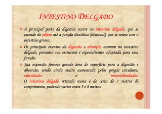 INTESTINO DELGADO
                                                         delgado,
A principal parte da digestão ocorre no intestino delgado, que se
estende do piloro até a junção iliocólica (ileocecal), que se reúne com o
          grosso.
intestino grosso.
Os principais eventos da digestão e absorção ocorrem no intestino
delgado, portanto sua estrutura é especialmente adaptada para essa
função.
função.
Sua extensão fornece grande área de superfície para a digestão e
absorção, sendo ainda muito aumentada pelas pregas circulares,
vilosidades                     e                        microvilosidades.
                                                         microvilosidades.
O intestino delgado retirado numa é de cerca de 7 metros de
                                          metros.
comprimento, podendo variar entre 5 e 8 metros.
 