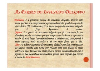 AS PARTES DO INTESTINO DELGADO
Duodeno:
Duodeno: é a primeira porção do intestino delgado. Recebe este
                                               delgado.
nome por ter seu comprimento aproximadamente igual à largura de
doze dedos (25 centímetros). É a única porção do intestino delgado
                 centímetros).
que          é        fixa.
                      fixa.       Apresenta         4         partes:
                                                              partes:
Jejuno:
Jejuno: é a parte do intestino delgado que faz continuação ao
duodeno, recebe este nome porque sempre que é aberto se apresenta
vazio.
vazio. É mais largo (aproximadamente 4 centímetros), sua parede é
mais espessa, mais vascular e de cor mais forte que o íleo.     íleo.
Íleo:
Íleo: é o último segmento do intestino delgado que faz continuação
ao jejuno. Recebe este nome por relação com osso ilíaco. É mais
    jejuno.                                           ilíaco.
estreito e suas túnicas são mais finas e menos vascularizadas que o
jejuno.
jejuno. O íleo desemboca no intestino grosso num orifício que recebe
o nome de óstio ileocecal.
                 ileocecal.
 