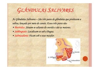 GLÂNDULAS SALIVARES
As Glândulas Salivares – São três pares de glândulas que produzem a
                            canais.                  são:
saliva, lançada por meio de canais. Esses três pares são:
• Parótidas: Situam-se adiante do ouvido e são as maiores.
              Situam-
                Localizam-
• Sublinguais: Localizam-se sob a língua.
• Submaxilares: Ficam sob o osso maxilar.
 