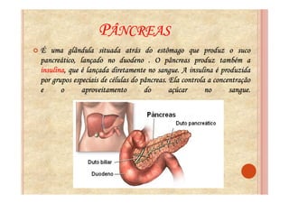 PÂNCREAS
É uma glândula situada atrás do estômago que produz o suco
pancreático, lançado no duodeno . O pâncreas produz também a
insulina,                                sangue.
insulina, que é lançada diretamente no sangue. A insulina é produzida
                                   pâncreas.
por grupos especiais de células do pâncreas. Ela controla a concentração
e      o      aproveitamento        do       açúcar      no      sangue.
                                                                 sangue.
 