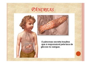 PÂNCREAS
 