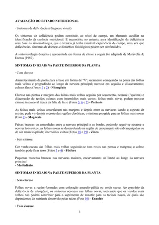 3
AVALIAÇÃO DO ESTADO NUTRICIONAL
· Sintomas de deficiências (diagnose visual)
Os sintomas de deficiência podem constituir, ao nível de campo, em elemento auxiliar na
identificação da carência nutricional. E necessário, no entanto, para identificação da deficiência
com base na sintomatologia, que o técnico já tenha razoável experiência de campo, uma vez que
deficiências, sintomas de doenças e distúrbios fisiológicos podem ser confundidos.
A sintomatologia descrita e apresentada em forma de chave a seguir foi adaptada de Malavolta &
Dantas (1987).
SINTOMAS INICIAIS NA PARTE INEERIOR DA PLANTA
· Com clorose
Amarelecimento da ponta para a base em forma de "V'; secamento começando na ponta das folhas
mais velhas e progredindo ao longo da nervura principal; necrose em seguida e dilaceramento;
colmos finos (Fotos 1 e 2) - Nitrogênio
Clorose nas pontas e margens das folhas mais velhas seguida por secamento, necrose ("queima) e
dilaceração do tecido; colmos com internódios mais curtos; folhas mais novas podem mostrar
clorose internerval típica da falta de ferro (Fotos 5, 6 e 7) - Potássio
As folhas mais velhas amarelecem nas margens e depois entre as nervuras dando o aspecto de
estrias; pode vir depois necrose das regiões cloróticas; o sintoma progride para as folhas mais novas
(Foto 8) - Magnésio
Faixas brancas ou amareladas entre a nervura principal e as bordas, podendo seguir-se necrose e
ocorrer tons roxos; as folhas novas se desenrolando na região de crescimento são esbranquiçadas ou
de cor amarelo-pálida; internódios curtos (Fotos 18 e 19) - Zinco
· Sem clorose
Cor verde-escura das folhas mais velhas seguindo-se tons roxos nas pontas e margens; o colmo
também pode ficar roxo (Fotos 3 e 4) - Fósforo
Pequenas manchas brancas nas nervuras maiores, encurvamento do limbo ao longo da nervura
principal
- Molibdênio
SINTOMAS INICIAIS NA PARTE SUPERIOR DA PLANTA
· Sem clorose
Folhas novas e recém-formadas com coloração amarelo-pálida ou verde suave. Ao contrário da
deficiência de nitrogênio, os sintomas ocorrem nas folhas novas, indicando que os tecidos mais
velhos não podem contribuir para o suprimento de enxofre para os tecidos novos, os quais são
dependentes do nutriente absorvido pelas raízes (Foto 10) - Enxofre
· Com clorose
 