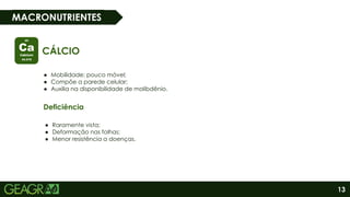 13
MACRONUTRIENTES
CÁLCIO
● Mobilidade: pouco móvel;
● Compõe a parede celular;
● Auxilia na disponibilidade de molibdênio.
Deficiência
● Raramente vista;
● Deformação nas folhas;
● Menor resistência a doenças.
 