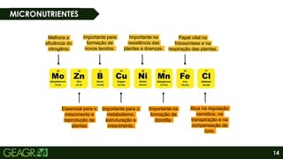 14
MICRONUTRIENTES
Melhora a
eficiência do
nitrogênio
Importante para
formação de
novos tecidos.
Importante na
resistência das
plantas a doenças.
Papel vital na
fotossíntese e na
respiração das plantas.
Essencial para o
crescimento e
reprodução de
plantas
Importante para o
metabolismo,
estruturação e
crescimento.
Importante na
formação de
clorofila.
Atua na regulação
osmótica, na
transpiração e na
compensação de
íons.
 
