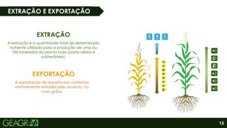 15
EXTRAÇÃO E EXPORTAÇÃO
EXPORTAÇÃO
A exportação diz respeito aos nutrientes
efetivamente retirados pelo produto, no
caso grãos.
EXTRAÇÃO
A extração é a quantidade total de determinado
nutriente utilizado para a produção de uma ou
100 toneladas da planta toda (parte aérea e
subterrânea).
 