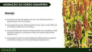 21
ADUBAÇÃO DO SORGO GRANÍFERO
Manejo
● Em solos com teor de argila maior que 15%, aplicar quando a
planta estiver com 4 a 6 folhas;
● Caso seja menor que 15% parcelar em duas vezes, sendo 50% com
4 a 6 folhas e 50% com 8 a 10 folhas;
● As quantidades de N recomendadas podem ser reduzidas em 40%
quando o sorgo for cultivado em área com baixo potencial de
resposta a N;
● As dosagens devem ser aumentadas em 20% quando o sorgo for
cultivado em áreas com alto potencial de resposta a N.
 