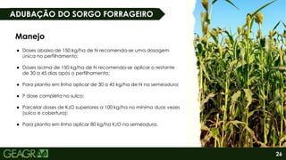 26
ADUBAÇÃO DO SORGO FORRAGEIRO
Manejo
● Doses abaixo de 150 kg/ha de N recomenda-se uma dosagem
única no perfilhamento;
● Doses acima de 150 kg/ha de N recomenda-se aplicar o restante
de 30 a 45 dias após o perfilhamento;
● Para plantio em linha aplicar de 30 a 45 kg/ha de N na semeadura;
● P dose completa no sulco;
● Parcelar doses de K2O superiores a 100 kg/ha no mínimo duas vezes
(sulco e cobertura);
● Para plantio em linha aplicar 80 kg/ha K2O na semeadura.
 