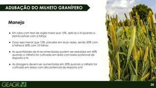30
ADUBAÇÃO DO MILHETO GRANÍFERO
Manejo
● Em solos com teor de argila maior que 15%, aplicar o N quando a
planta estiver com 6 folhas;
● Caso seja menor que 15%, parcelar em duas vezes, sendo 50% com
6 folhas e 50% com 10 folhas;
● As quantidades de N recomendadas podem ser reduzidas em 40%
quando o milheto for cultivado em área com baixo potencial de
resposta a N;
● As dosagens devem ser aumentadas em 20% quando o milheto for
cultivado em áreas com alto potencial de resposta a N.
 
