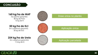 38
CONCLUSÃO
160 kg/ha de MAP
No plantio garantirá:
80 kg de P2O5
16 kg de N
50 kg/ha de Kcl
Em cobertura garantirá:
30 kg de K2O
254 kg/ha de Ureia
Em cobertura garantirá:
114 kg de N
Aplicação parcelada
Aplicação única
Dose única no plantio
 