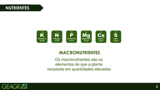 5
NUTRIENTES
MACRONUTRIENTES
Os macronutrientes são os
elementos de que a planta
necessita em quantidades elevadas
 