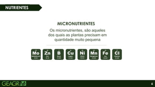 6
NUTRIENTES
MICRONUTRIENTES
Os micronutrientes, são aqueles
dos quais as plantas precisam em
quantidade muito pequena
 