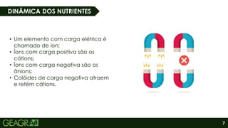 7
DINÂMICA DOS NUTRIENTES
• Um elemento com carga elétrica é
chamado de íon;
• Íons com carga positiva são os
cátions;
• Íons com carga negativa são os
ânions;
• Colóides de carga negativa atraem
e retém cátions.
 