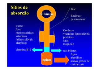 Sítios de                            Bile
absorção            estômago         Enzimas
                                     pancreáticas

  Cálcio
  ferro                        Gorduras
  monossacárides               vitaminas lipossolúveis
  vitaminas                    proteínas
   hidrossolúveis              água
  eletrólitos                  magnésio

  vitamina B12                 sais biliares
                                      Água
                                      eletrólitos
                     cólon            ácidos graxos de
                                      cadeia curta
 