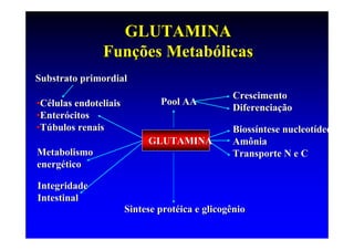 GLUTAMINA
               Funções Metabólicas
Substrato primordial
                                                Crescimento
•Células endoteliais           Pool AA
                                                Diferenciação
•Enterócitos
•Túbulos renais                                 Biossíntese nucleotídeo
                            GLUTAMINA           Amônia
Metabolismo                                     Transporte N e C
energético

Integridade
Intestinal
                       Sintese protéica e glicogênio
 