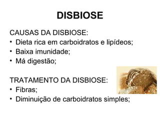 DISBIOSE
CAUSAS DA DISBIOSE:
• Dieta rica em carboidratos e lipídeos;
• Baixa imunidade;
• Má digestão;
TRATAMENTO DA DISBIOSE:
• Fibras;
• Diminuição de carboidratos simples;
 