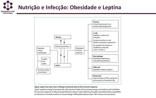 Nutrição e Infecção: Obesidade e Leptina
 