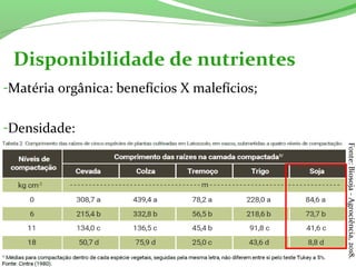 Disponibilidade de nutrientes
-Matéria orgânica: benefícios X malefícios;
-Densidade:
Fonte:Biosoja-Agrociência,2018.
 