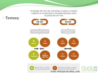 - Textura;
Fonte: Nutrição de safras, 2018.
 