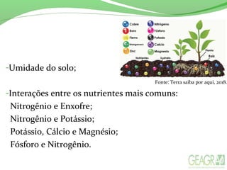 -Umidade do solo;
-Interações entre os nutrientes mais comuns:
Nitrogênio e Enxofre;
Nitrogênio e Potássio;
Potássio, Cálcio e Magnésio;
Fósforo e Nitrogênio.
Fonte: Terra saiba por aqui, 2018.
 