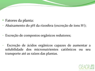 • Fatores da planta:
- Abaixamento do pH da rizosfera (excreção de íons H+
);
- Excreção de compostos orgânicos redutores;
- Excreção de ácidos orgânicos capazes de aumentar a
solubilidade dos micronutrientes catiônicos ou seu
transporte até as raízes das plantas.
 