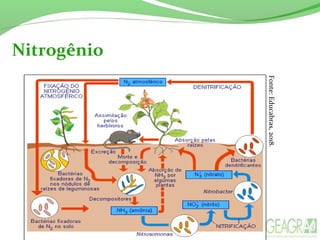 Nitrogênio
Fonte:Educabras,2018.
 