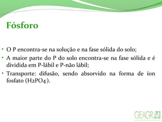 Fósforo
• O P encontra-se na solução e na fase sólida do solo;
• A maior parte do P do solo encontra-se na fase sólida e é
dividida em P-lábil e P-não lábil;
• Transporte: difusão, sendo absorvido na forma de íon
fosfato (H2PO4-
).
 