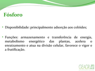 Fósforo
• Disponibilidade: principalmente adsorção aos colóides;
• Funções: armazenamento e transferência de energia,
metabolismo energético das plantas, acelera o
enraizamento e atua na divisão celular, favorece o vigor e
a frutificação.
 