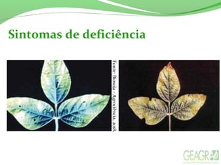 Sintomas de deficiência
Fonte:Biosoja-Agrociência,2018.
 