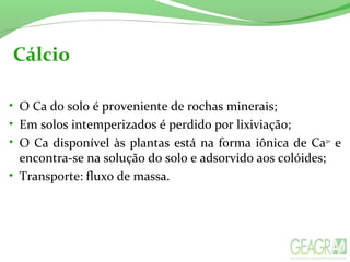 Cálcio
• O Ca do solo é proveniente de rochas minerais;
• Em solos intemperizados é perdido por lixiviação;
• O Ca disponível às plantas está na forma iônica de Ca2+
e
encontra-se na solução do solo e adsorvido aos colóides;
• Transporte: fluxo de massa.
 