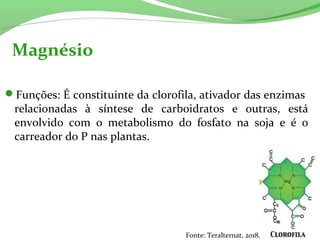 Magnésio
Funções: É constituinte da clorofila, ativador das enzimas
relacionadas à síntese de carboidratos e outras, está
envolvido com o metabolismo do fosfato na soja e é o
carreador do P nas plantas.
Fonte: Teralternat, 2018.
 