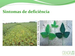 Sintomas de deficiência
Fonte:Biosoja-Agrociência,2018.
 