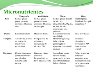Micronutrientes
  Manganês Molibdênio Níquel Zinco
Solo Rochas ígneas – 
pouco em solos 
arenosos; difusão de 
Mn2+
Rochas ígneas – 
pouco em solos 
arenosos; difusão de 
MoO4
2-
; pH
Rochas ígneas; difusão 
de Ni2+
; pH;  
atrapalham Ca, Mg, Cu, 
Fe, Mn, Zn e P; 
complexado pelo 
glifosato
Rochas ígneas; 
difusão de Zn2+
; pH;  
atrapalham P
Planta Baixa mobilidade Móvel no floema Baixa/intermediária 
mobilidade
Baixa mobilidade
Funções Ativador de enzimas 
da síntese de 
metabólitos 
secundários
Componente da 
redutase e 
nitrogenase do 
nitrato - FBN
FBN (hidrogenase); 
inibe etileno; 
germinação de 
sementes; controle de 
doenças
Síntese do 
triptofano – 
precursor de AIA 
(crescimento 
vegetal)
Sintomas
 
Clorose internerval 
com tom amarelo-
esverdeado e 
nervuras vede 
escuro
Pequenas estrias 
cloróticas 
longitudinais no 
terço apical da folha
Acúmulo de teores 
tóxicos de uréia 
provocando necrose 
nas extremidades de 
folhas e folíolos
Folhas pequenas, 
estreitas e 
alongadas, com 
clorose internerval; 
encurtamento de 
internódios
 