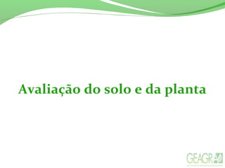 Avaliação do solo e da planta
 