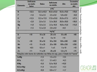Fonte: Tecnologia e produção – Soja e milho, 2018.
 