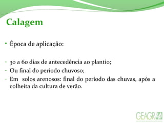 Calagem
• Época de aplicação:
- 30 a 60 dias de antecedência ao plantio;
- Ou final do período chuvoso;
- Em  solos arenosos: final do período das chuvas, após a 
colheita da cultura de verão.
 