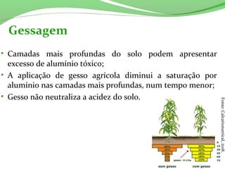 Gessagem
• Camadas  mais  profundas  do  solo  podem  apresentar 
excesso de alumínio tóxico;
• A  aplicação  de  gesso  agrícola  diminui  a  saturação  por 
alumínio nas camadas mais profundas, num tempo menor;
• Gesso não neutraliza a acidez do solo.
Fonte: Calcarionutrical, 2018.
 