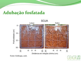 Adubação fosfatada
Fonte: Embrapa, 2016.
 