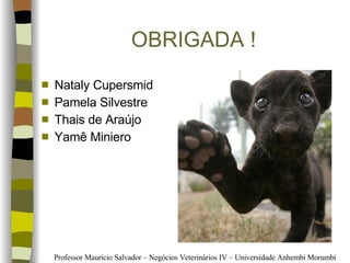 OBRIGADA ! Nataly Cupersmid Pamela Silvestre Thais de Araújo Yamê Miniero 