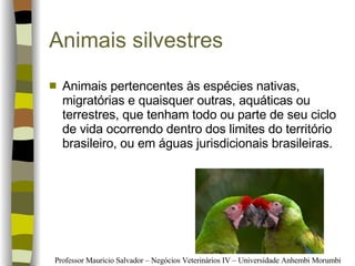 Animais silvestres Animais pertencentes às espécies nativas, migratórias e quaisquer outras, aquáticas ou terrestres, que tenham todo ou parte de seu ciclo de vida ocorrendo dentro dos limites do território brasileiro, ou em águas jurisdicionais brasileiras. 