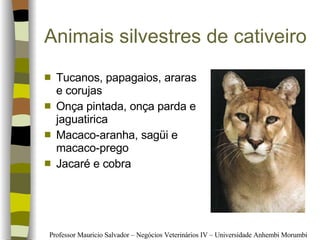 Animais silvestres de cativeiro Tucanos, papagaios, araras e corujas Onça pintada, onça parda e jaguatirica Macaco-aranha, sagüi e macaco-prego Jacaré e cobra 