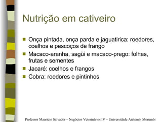 Nutrição em cativeiro Onça pintada, onça parda e jaguatirica: roedores, coelhos e pescoços de frango Macaco-aranha, sagüi e macaco-prego: folhas, frutas e sementes Jacaré: coelhos e frangos Cobra: roedores e pintinhos 