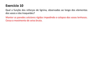 Exercício 10
Qual a função dos reforços de lignina, observados ao longo dos elementos
dos vasos e das traqueídes?
Manter as paredes celulares rígidas impedindo o colapso dos vasos lenhosos.
Cessa o movimento de seiva bruta.
 