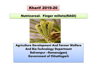 Agriculture Development And Farmer Welfare
And Bio-Technology Department
Balrampur –Ramanujganj
Government of Chhattisgarh
Nutricereal- Finger millets(RAGI)
Kharif 2019-20
 