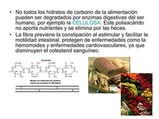 No todos los hidratos de carbono de la alimentación pueden ser degradados por enzimas digestivas del ser humano, por ejemplo la  CELULOSA.  Este polisacárido no aporta nutrientes y se elimina por las heces. La fibra previene la constipación al estimular y facilitar la motilidad intestinal, protegen de enfermedades como la hemorroides y enfermedades cardiovasculares, ya que disminuyen el colesterol sanguíneo.  