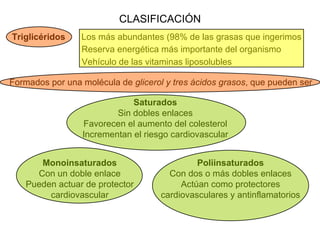 CLASIFICACIÓN Triglicéridos Los más   abundantes (98% de las grasas que ingerimos Reserva energética más importante del organismo Vehículo de las vitaminas liposolubles Formados por una molécula de  glicerol y tres ácidos grasos , que pueden ser Saturados Sin dobles enlaces Favorecen el aumento del colesterol Incrementan el riesgo cardiovascular Monoinsaturados Con un doble enlace Pueden actuar de protector cardiovascular Poliinsaturados Con dos o más dobles enlaces Actúan como protectores cardiovasculares y antinflamatorios 