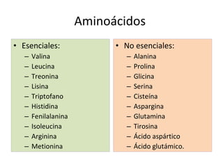 Aminoácidos  Esenciales: Valina Leucina Treonina Lisina Triptofano Histidina Fenilalanina Isoleucina Arginina Metionina  No esenciales: Alanina Prolina Glicina Serina Cisteína Aspargina Glutamina Tirosina Ácido aspártico Ácido glutámico. 