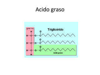 Acido graso 