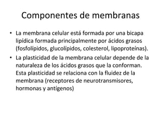 Componentes de membranas La membrana celular está formada por una bicapa lipídica formada principalmente por ácidos grasos (fosfolípidos, glucolípidos, colesterol, lipoproteínas). La plasticidad de la membrana celular depende de la naturaleza de los ácidos grasos que la conforman. Esta plasticidad se relaciona con la fluidez de la membrana (receptores de neurotransmisores, hormonas y antígenos) 
