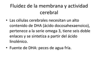 Fluidez de la membrana y actividad cerebral Las células cerebrales necesitan un alto contenido de DHA (ácido docosahexaenoico), pertenece a la serie omega 3, tiene seis doble enlaces y se sintetiza a partir del ácido linolénico. Fuente de DHA: peces de agua fría. 